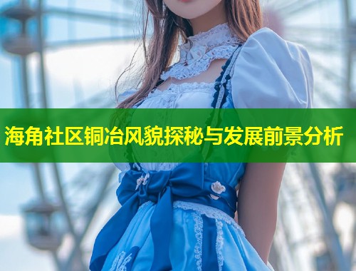 海角社区铜冶风貌探秘与发展前景分析 第2张 海角社区铜冶风貌探秘与发展前景分析 第2张