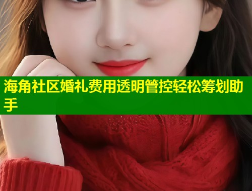 海角社区婚礼费用透明管控轻松筹划助手 第1张 海角社区婚礼费用透明管控轻松筹划助手 第1张