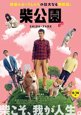 视频在线a
