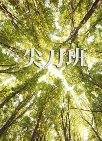 亚洲欧美日韩伦中文