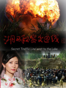 在线精品亚洲